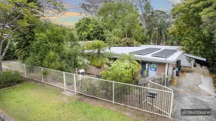 Main view of Homely house listing, 31 Warringah Grove, Petrie QLD 4502
