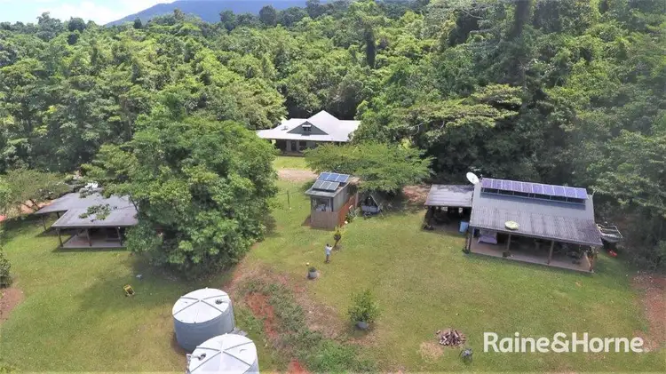 55 Nicole Drive, Cape Tribulation QLD 4873