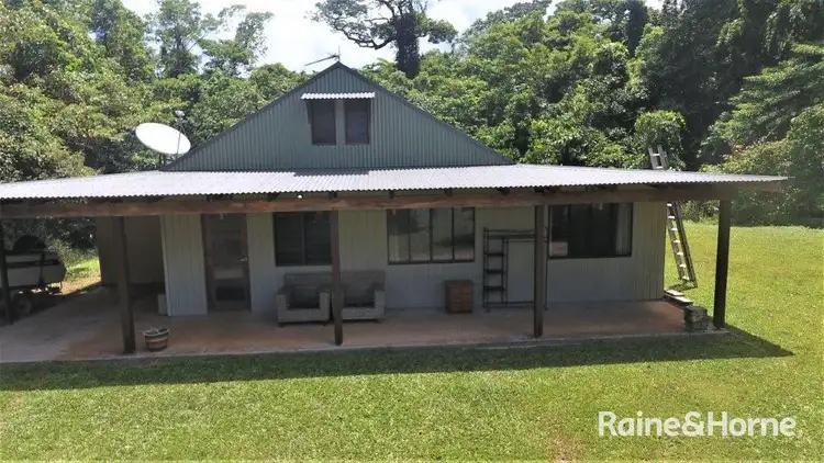 Second view of Homely house listing, 55 Nicole Drive, Cape Tribulation QLD 4873