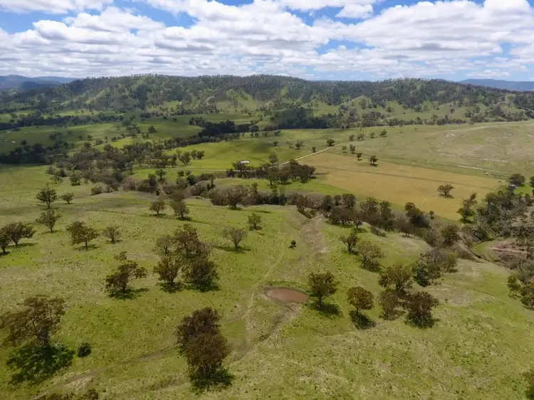"Box Tree" 190 Coogah Lane, Blandford NSW 2338