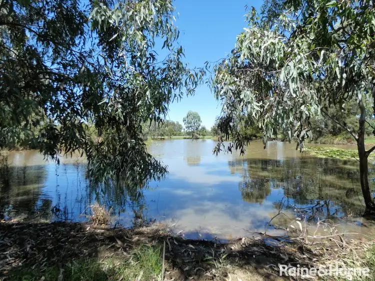 Second view of Homely house listing, 81 Bundaloey Road, Moree NSW 2400