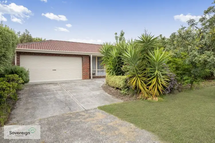 33 Thomas Place