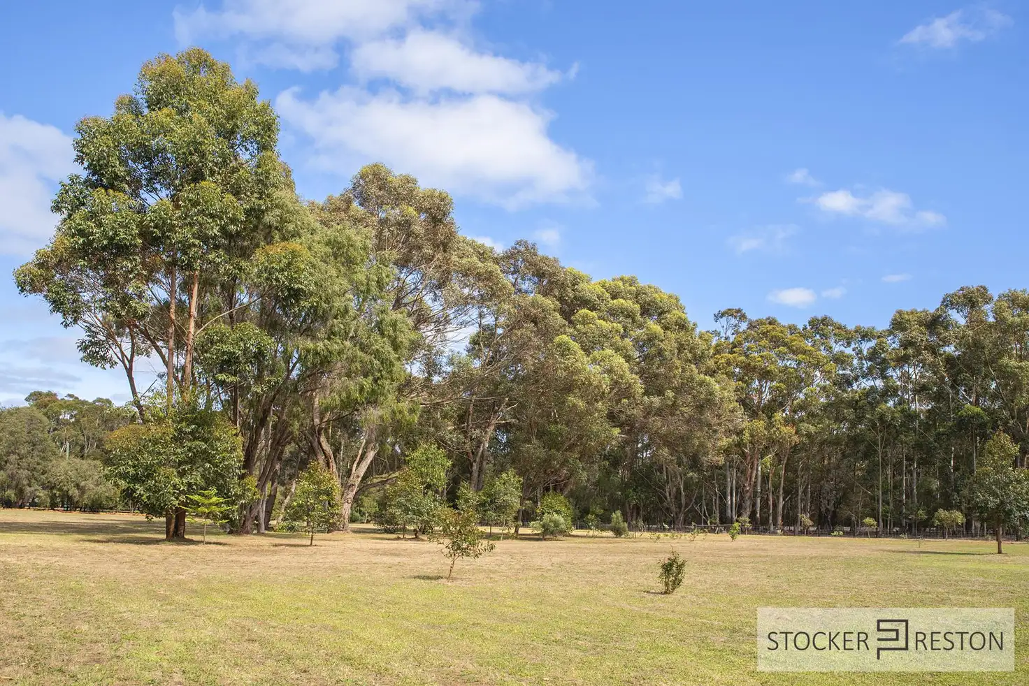 Main view of Homely land listing, PL 81 of 5 Trinder Drive, Margaret River WA 6285