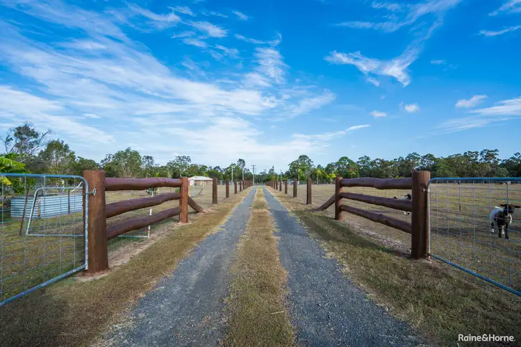 Main view of Homely rural property listing, 31 Finch Court, Walligan QLD 4655