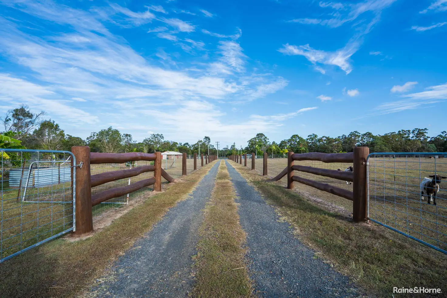 Main view of Homely rural property listing, 31 Finch Court, Walligan QLD 4655