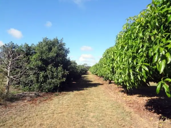 Sixth view of Homely rural property listing, 307 Proston Abbeywood Road, Stalworth QLD 4613