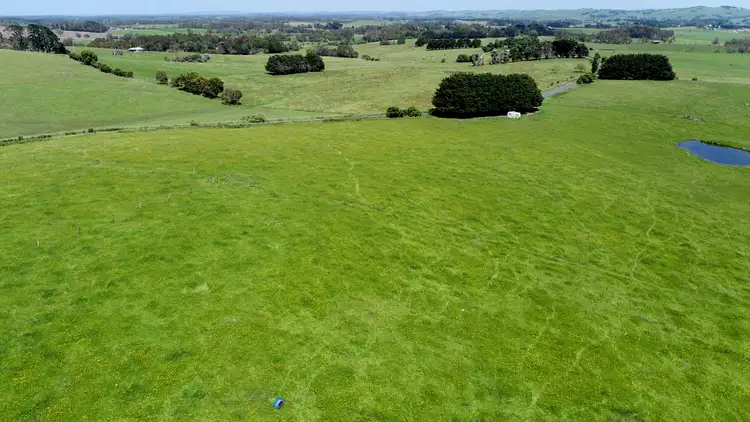 Second view of Homely rural property listing, 499 Dollar Road, Dumbalk VIC 3956