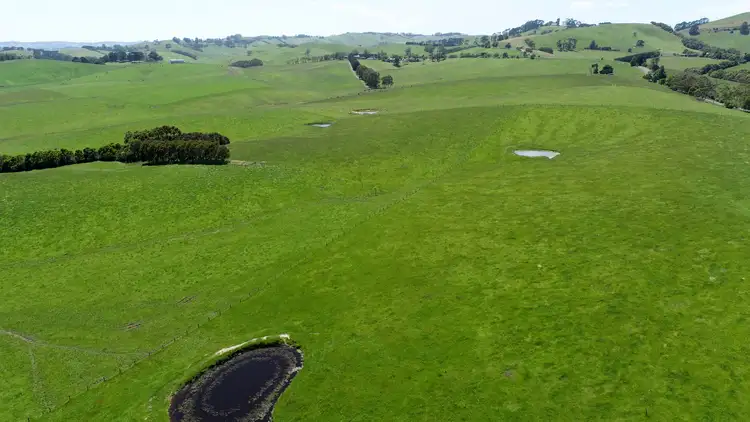 Fourth view of Homely rural property listing, 499 Dollar Road, Dumbalk VIC 3956