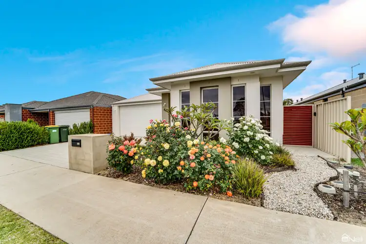 Main view of Homely house listing, 64 Siltstone Road, Haynes WA 6112