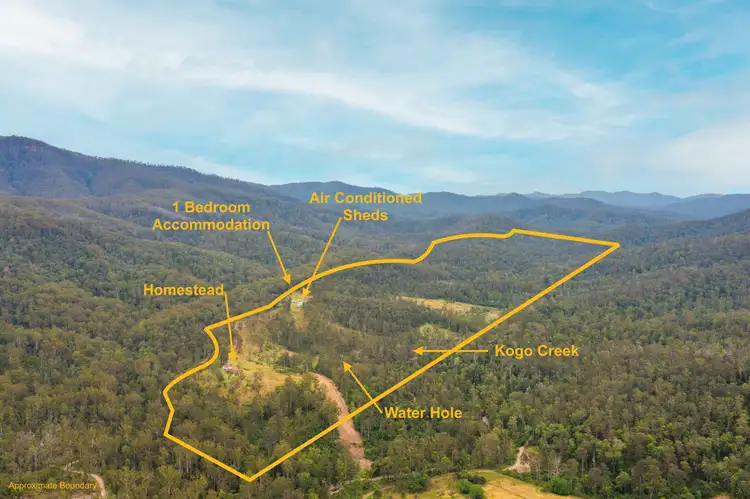 226 Gearys Flat Rd, Gearys Flat NSW 2441