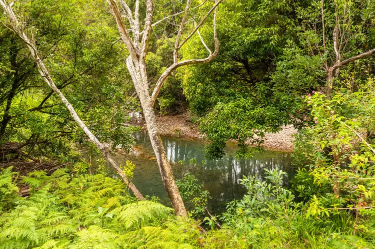 Sixth view of Homely rural property listing, 226 Gearys Flat Rd, Gearys Flat NSW 2441