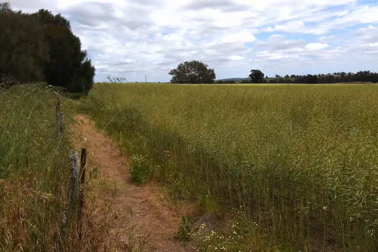 Second view of Homely rural property listing, 'Tennisdale West', Carrolup WA 6317