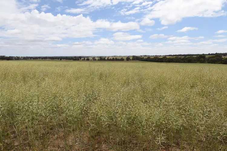 Third view of Homely rural property listing, 'Tennisdale West', Carrolup WA 6317