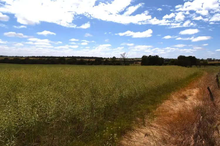 Fourth view of Homely rural property listing, 'Tennisdale West', Carrolup WA 6317