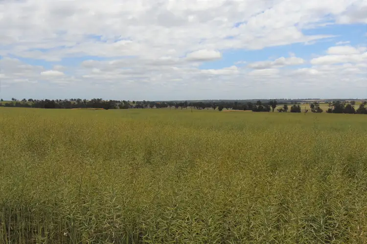 Fifth view of Homely rural property listing, 'Tennisdale West', Carrolup WA 6317