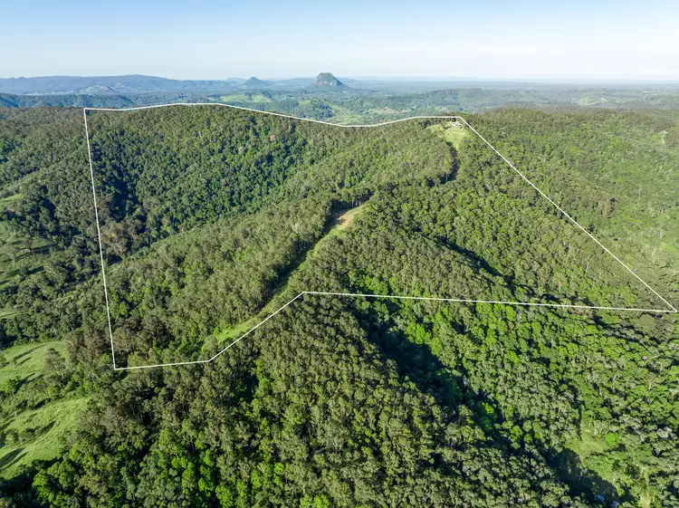 1033 Black Mountain Rd, Federal QLD 4568