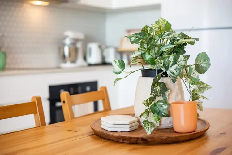 Third view of Homely apartment listing, 208/45-51 Latham Street, Chermside QLD 4032