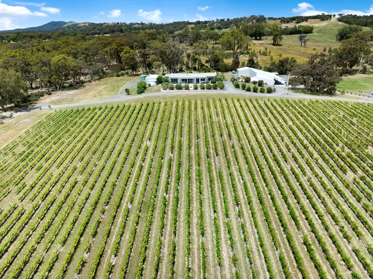 Fifth view of Homely rural property listing, 103 Hard Hill Rd, Armstrong VIC 3377