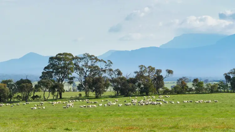 Main view of Homely rural property listing, Lot 2 Bunjils Cave Road, Black Range VIC 3381