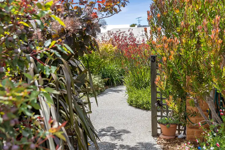 Second view of Homely house listing, 3 Chelsea Avenue, Ocean Grove VIC 3226