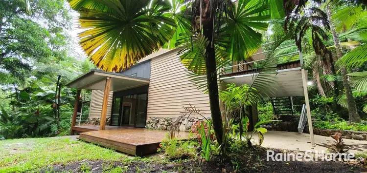Second view of Homely house listing, 71 Candlenut Road, Diwan, Daintree QLD 4873