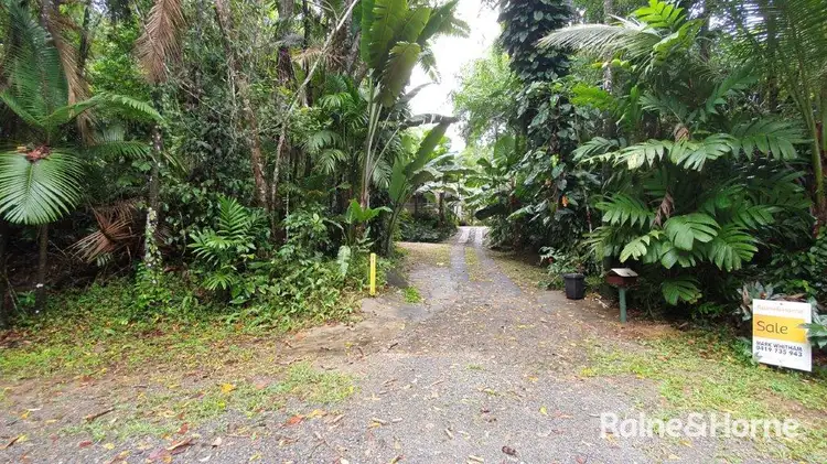 Fourth view of Homely house listing, 71 Candlenut Road, Diwan, Daintree QLD 4873