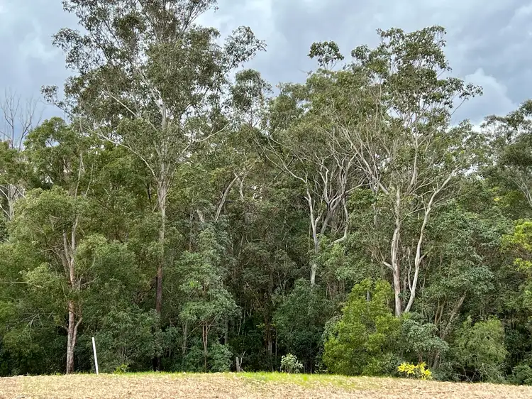 14 Bluebell Court, Southside QLD 4570
