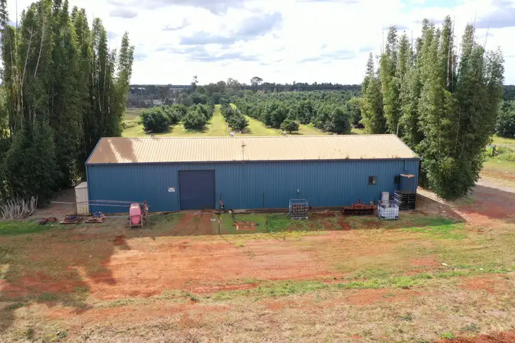 Fourth view of Homely rural property listing, 410 Knockroe Road, North Isis QLD 4660