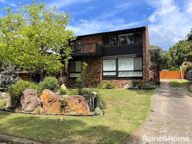 Main view of Homely house listing, 31 Walsh Crescent, North Nowra NSW 2541