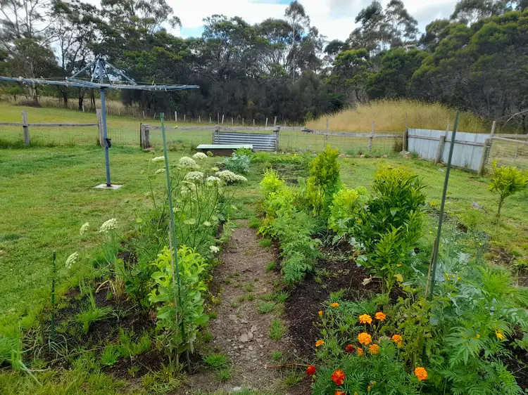 Fourth view of Homely house listing, 9702 Tasman Highway, Triabunna TAS 7190