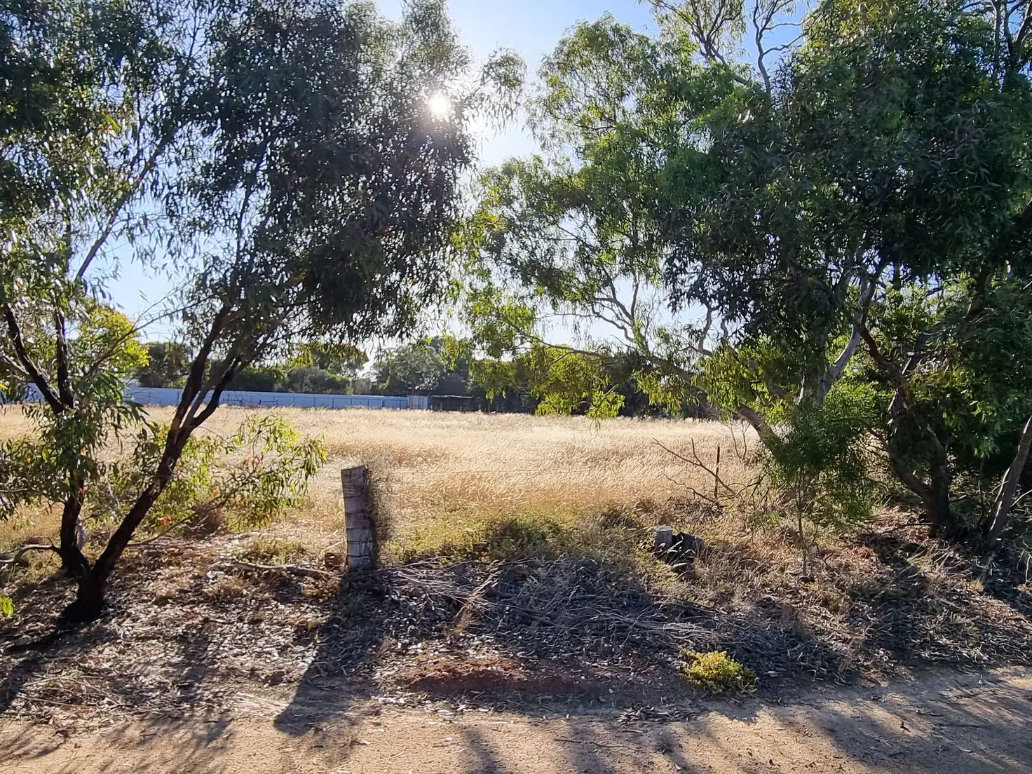 Main view of Homely land listing, 9 East Terrace, Lipson SA 5607