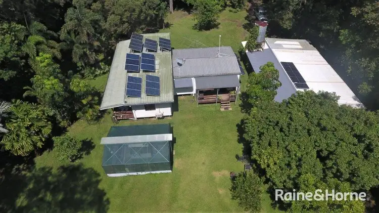 Main view of Homely house listing, 6 White Beech Road, Daintree QLD 4873