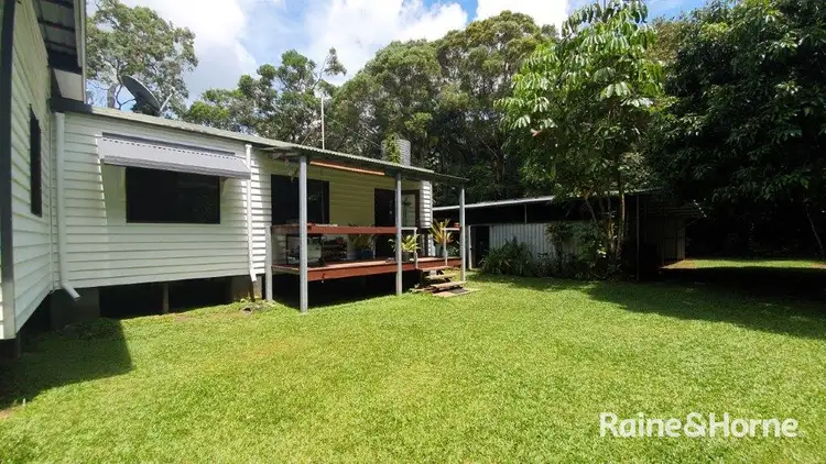 Second view of Homely house listing, 6 White Beech Road, Daintree QLD 4873