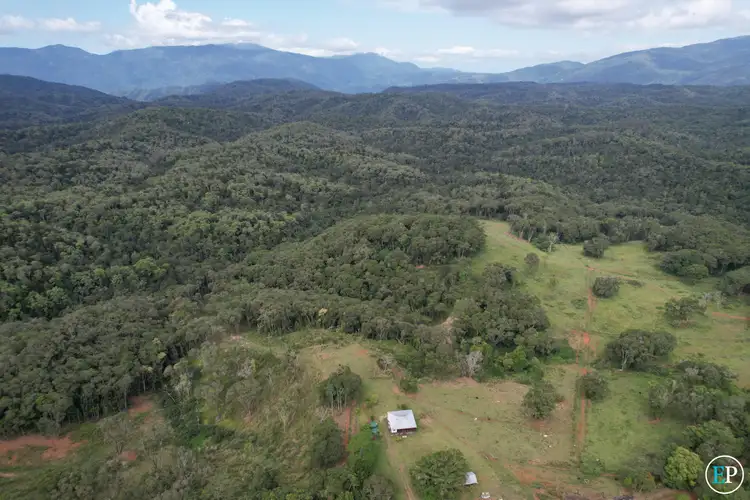Second view of Homely rural property listing, 416 Gadaloff Road, Butchers Creek QLD 4885