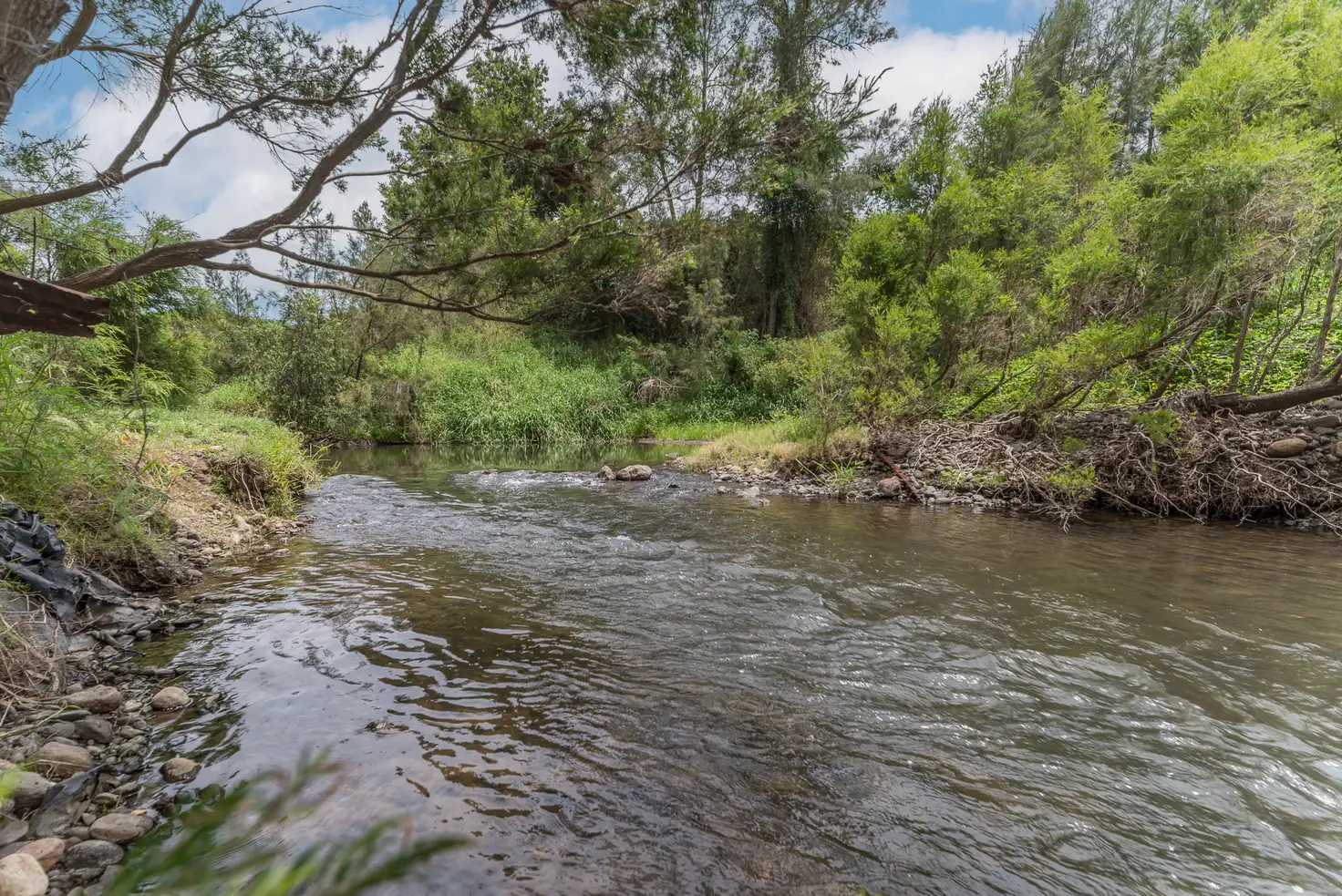 Main view of Homely rural property listing, 1617 Kerry Road, Kerry QLD 4285