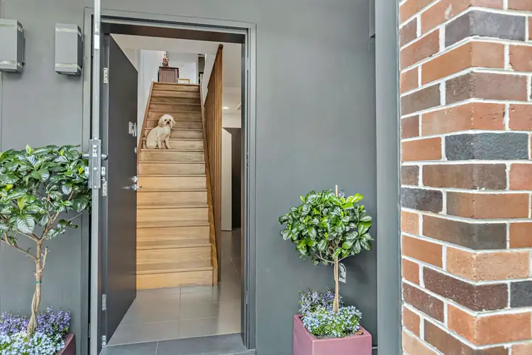 16/1-19 Gibbens Street, Camperdown NSW 2050