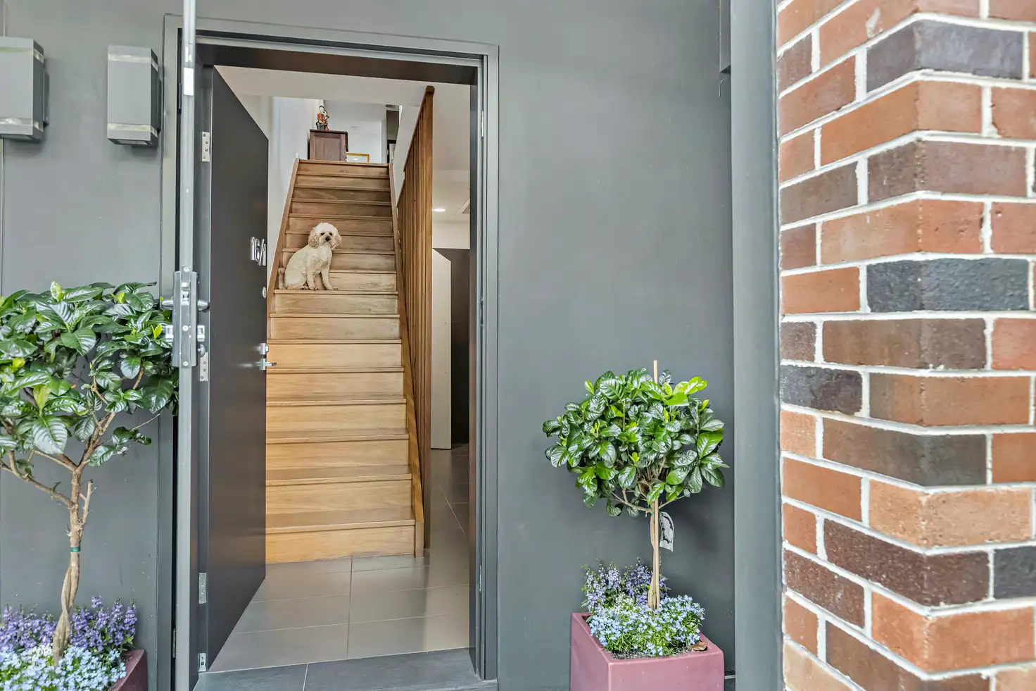 Main view of Homely townhouse listing, 16/1-19 Gibbens Street, Camperdown NSW 2050