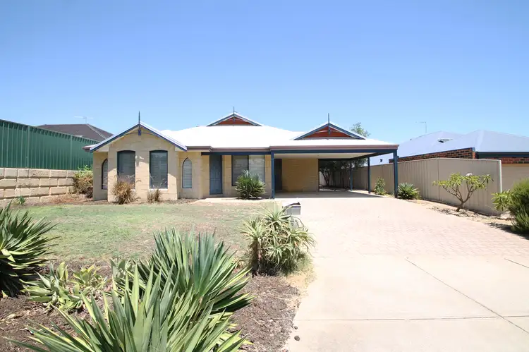 3 Astroloma Drive, Success WA 6164