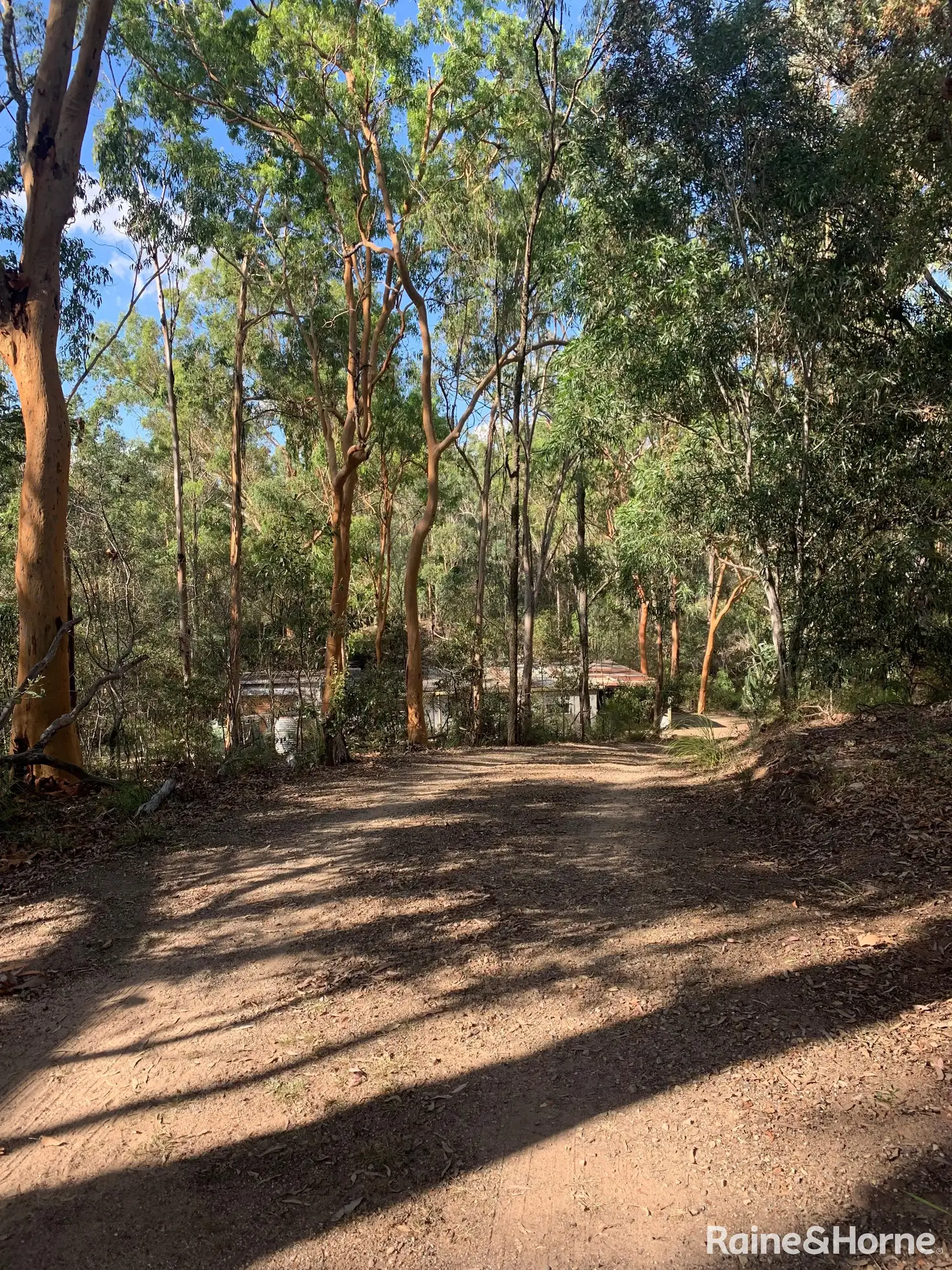 Main view of Homely rural property listing, 55 Kassulke Drive, South Nanango QLD 4615