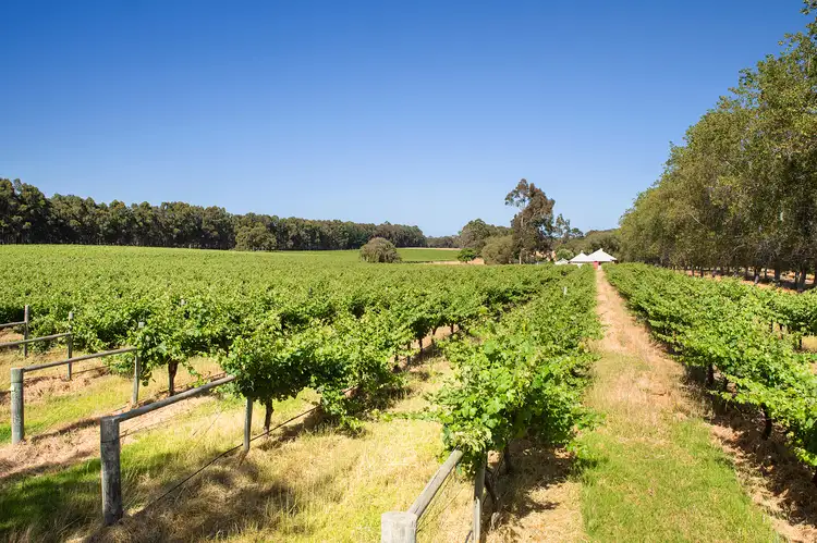 Second view of Homely rural property listing, 796 Commonage Road, Yallingup WA 6282