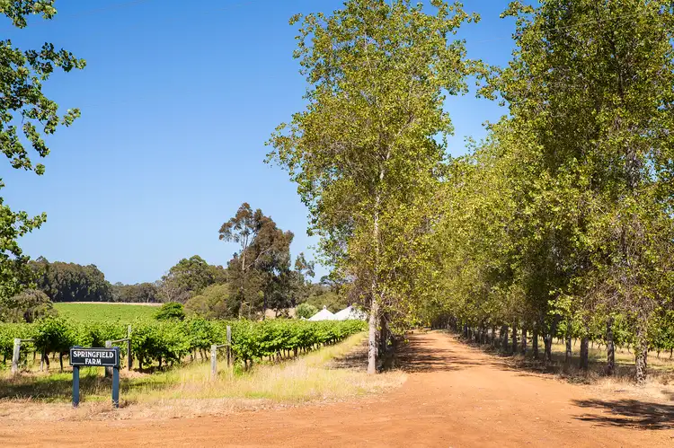 Fourth view of Homely rural property listing, 796 Commonage Road, Yallingup WA 6282