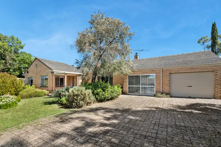 16 Nicolle Avenue, Hawthorndene SA 5051