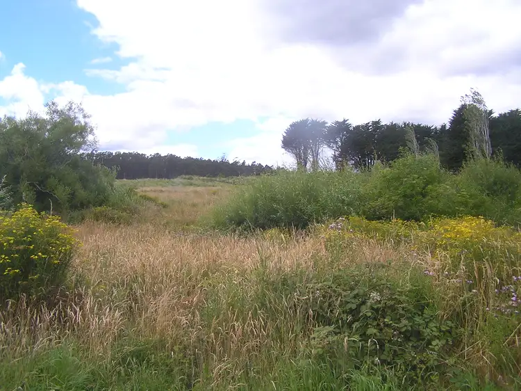 Fifth view of Homely land listing, 2022 Nugent Road, Nugent TAS 7172