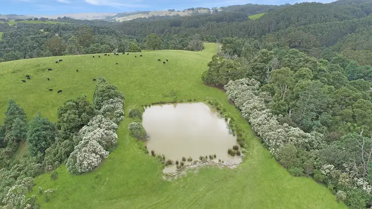 Main view of Homely rural property listing, 924 Foster Mirboo Road, Dollar VIC 3871