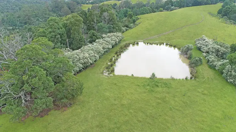 Fourth view of Homely rural property listing, 924 Foster Mirboo Road, Dollar VIC 3871