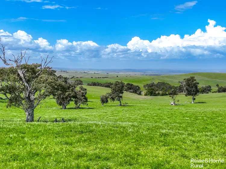 Fourth view of Homely rural property listing, A26 Stirling Hill Road, Strathalbyn SA 5255