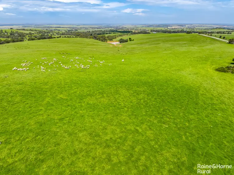 Fifth view of Homely rural property listing, A26 Stirling Hill Road, Strathalbyn SA 5255