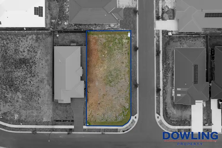 Third view of Homely land listing, LOT 909, 84 Macadamia Circuit, Medowie NSW 2318