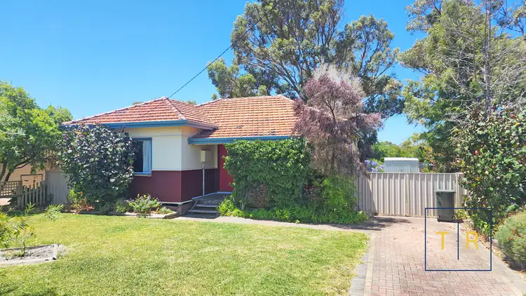 Main view of Homely house listing, 6 McCudden Street, Nulsen WA 6450
