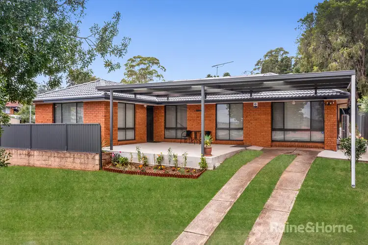 Third view of Homely house listing, 31 Fenton Crescent, Minto NSW 2566